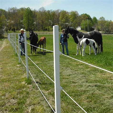 electrical hot box for horses|electric fence for horses.